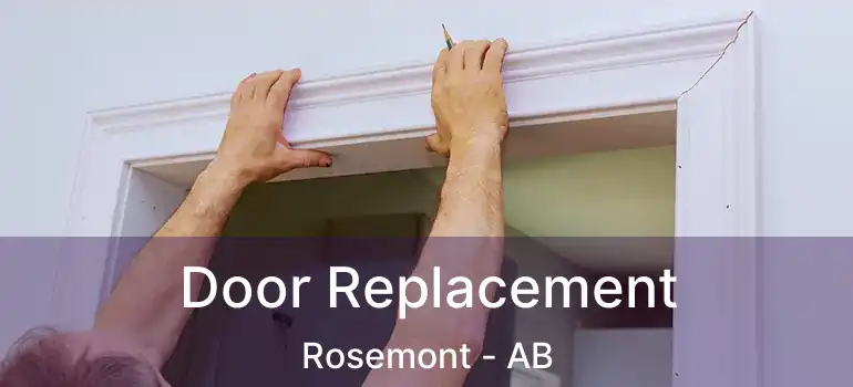  Door Replacement Rosemont - AB