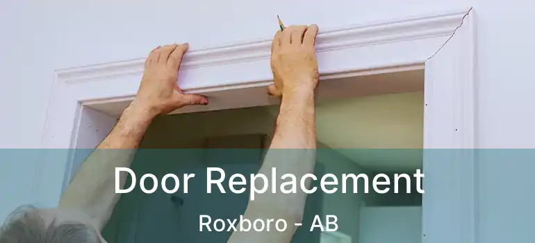  Door Replacement Roxboro - AB