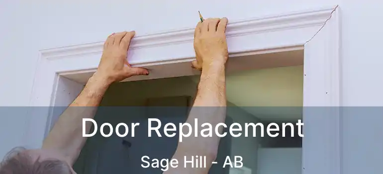  Door Replacement Sage Hill - AB