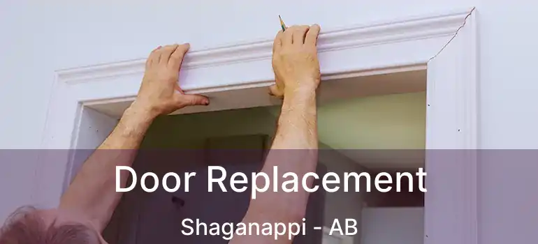  Door Replacement Shaganappi - AB