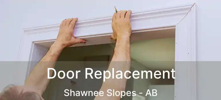  Door Replacement Shawnee Slopes - AB