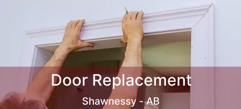 Door Replacement Shawnessy - AB