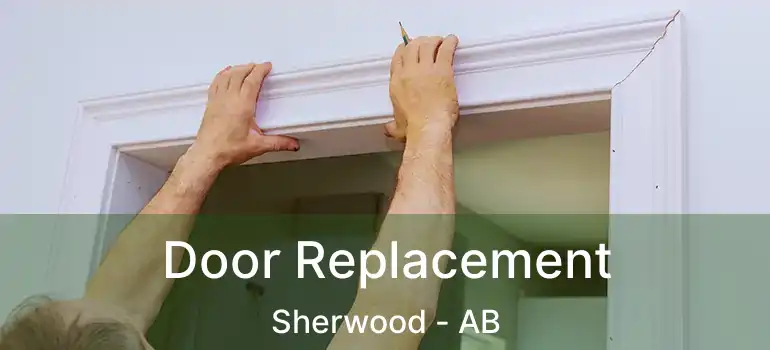  Door Replacement Sherwood - AB