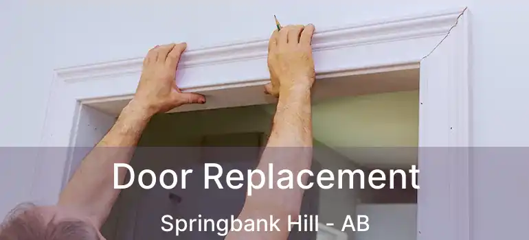  Door Replacement Springbank Hill - AB