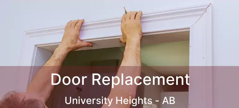  Door Replacement University Heights - AB