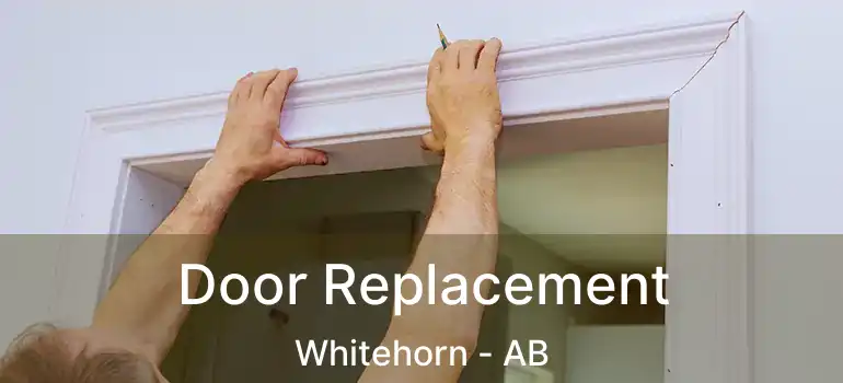 Door Replacement Whitehorn - AB