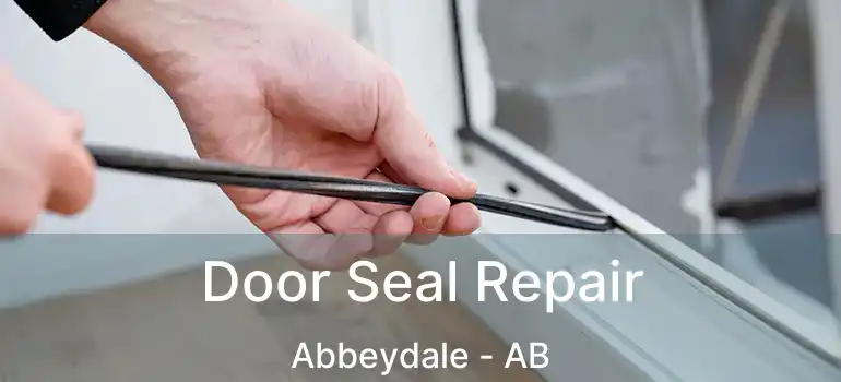  Door Seal Repair Abbeydale - AB