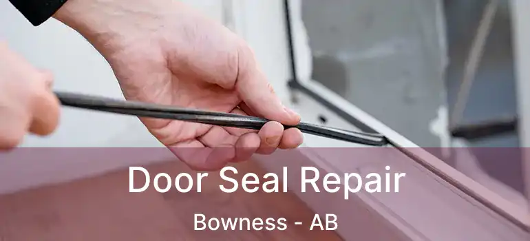  Door Seal Repair Bowness - AB