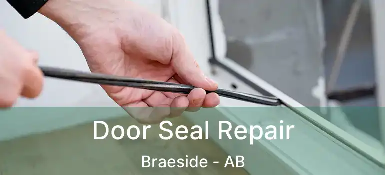  Door Seal Repair Braeside - AB