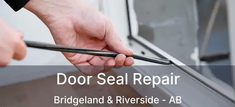  Door Seal Repair Bridgeland & Riverside - AB