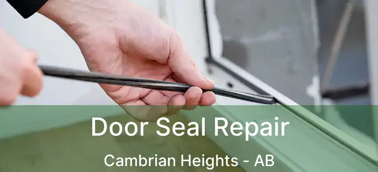  Door Seal Repair Cambrian Heights - AB