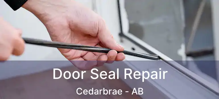  Door Seal Repair Cedarbrae - AB