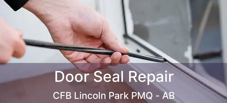  Door Seal Repair CFB Lincoln Park PMQ - AB