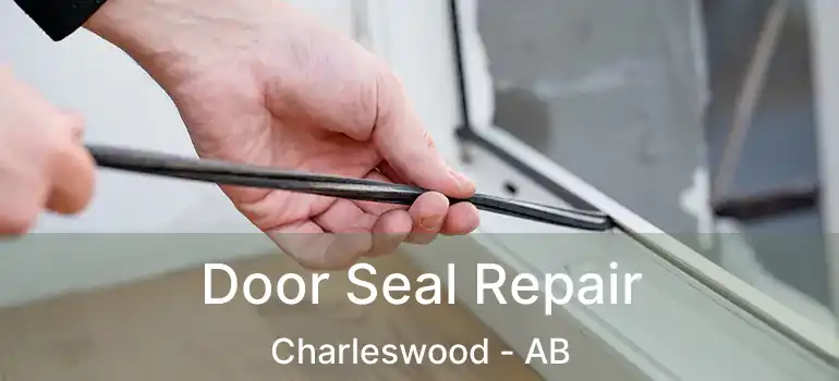  Door Seal Repair Charleswood - AB