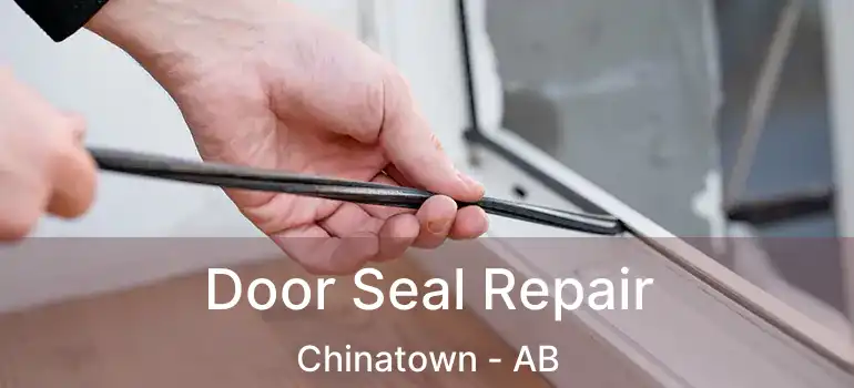  Door Seal Repair Chinatown - AB