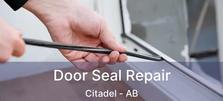  Door Seal Repair Citadel - AB