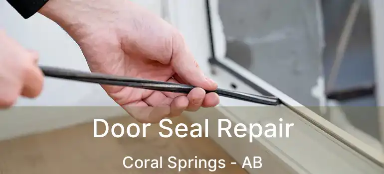  Door Seal Repair Coral Springs - AB