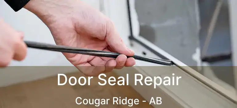  Door Seal Repair Cougar Ridge - AB