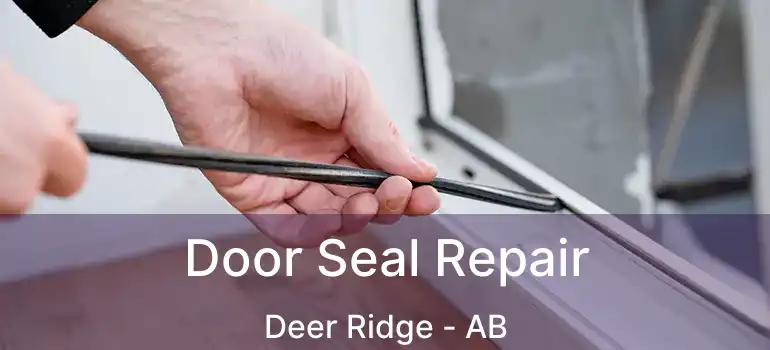  Door Seal Repair Deer Ridge - AB