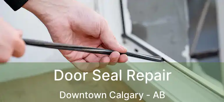  Door Seal Repair Downtown Calgary - AB