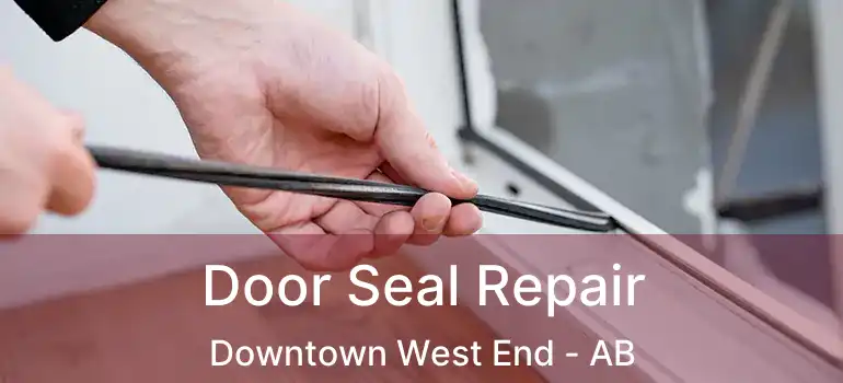  Door Seal Repair Downtown West End - AB