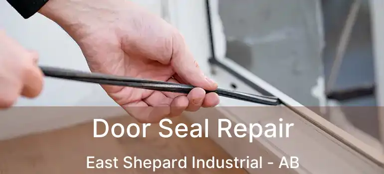  Door Seal Repair East Shepard Industrial - AB