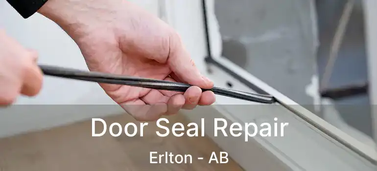  Door Seal Repair Erlton - AB