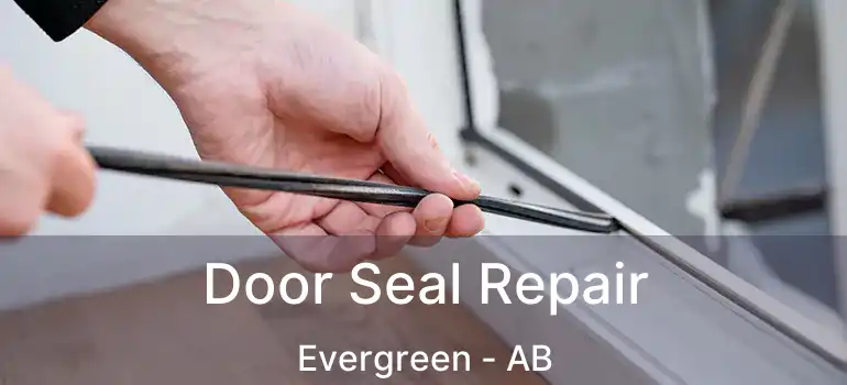  Door Seal Repair Evergreen - AB