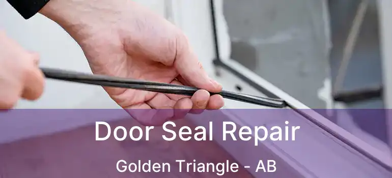  Door Seal Repair Golden Triangle - AB