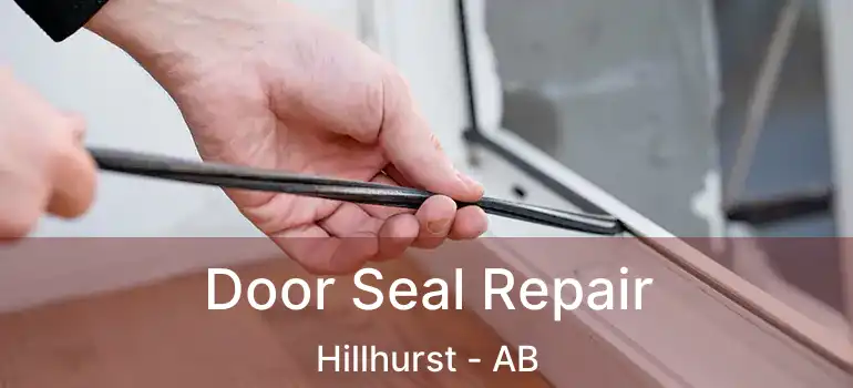  Door Seal Repair Hillhurst - AB
