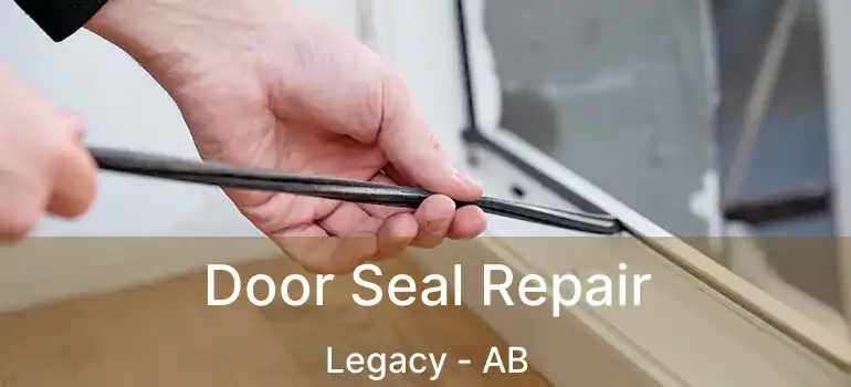 Door Seal Repair Legacy - AB