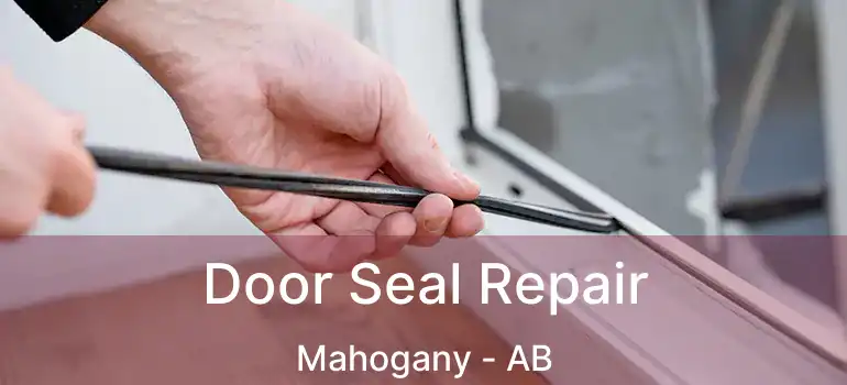  Door Seal Repair Mahogany - AB