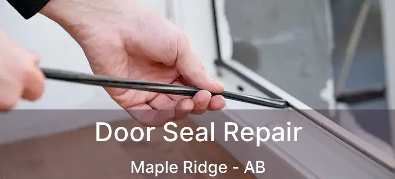  Door Seal Repair Maple Ridge - AB