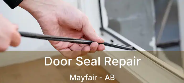  Door Seal Repair Mayfair - AB