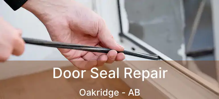  Door Seal Repair Oakridge - AB