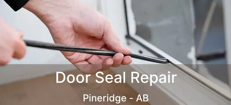  Door Seal Repair Pineridge - AB
