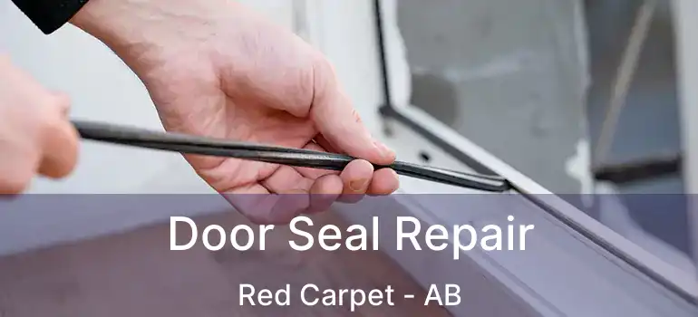  Door Seal Repair Red Carpet - AB