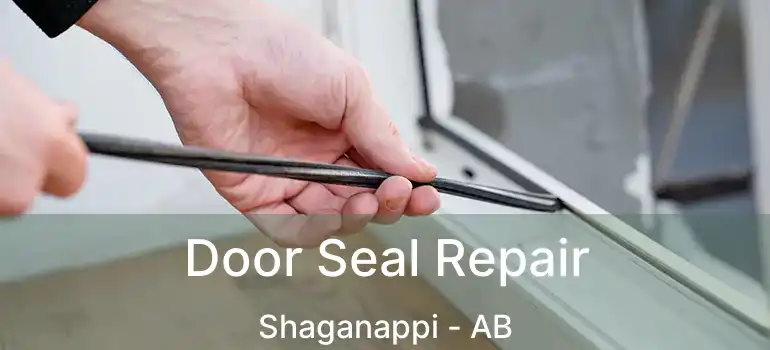  Door Seal Repair Shaganappi - AB