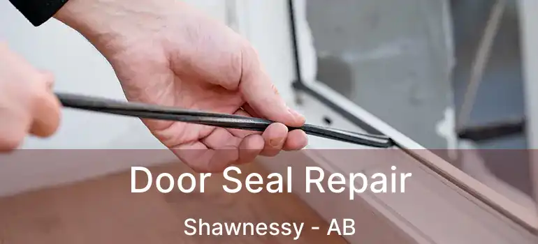  Door Seal Repair Shawnessy - AB