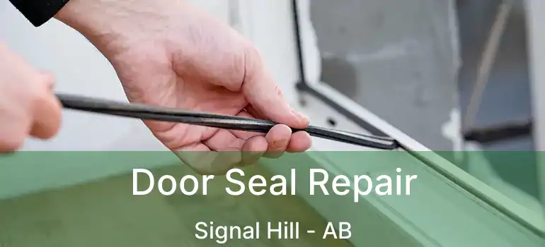  Door Seal Repair Signal Hill - AB