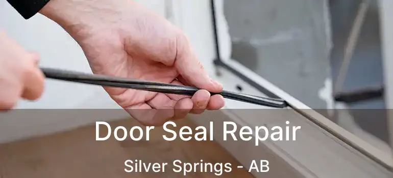  Door Seal Repair Silver Springs - AB