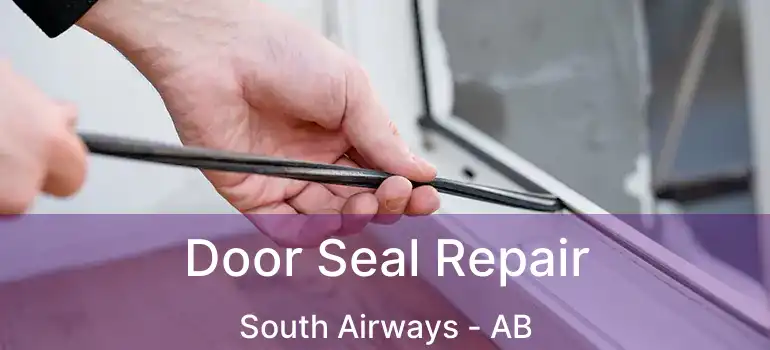  Door Seal Repair South Airways - AB