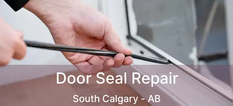  Door Seal Repair South Calgary - AB