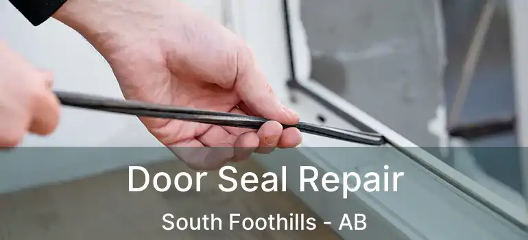  Door Seal Repair South Foothills - AB