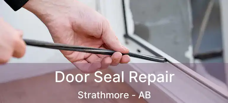  Door Seal Repair Strathmore - AB