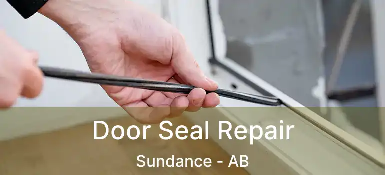  Door Seal Repair Sundance - AB