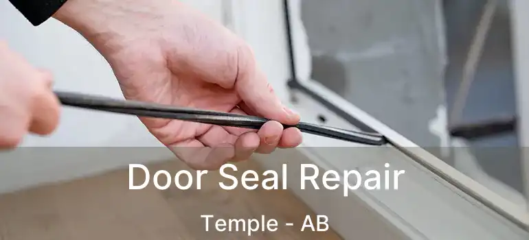  Door Seal Repair Temple - AB