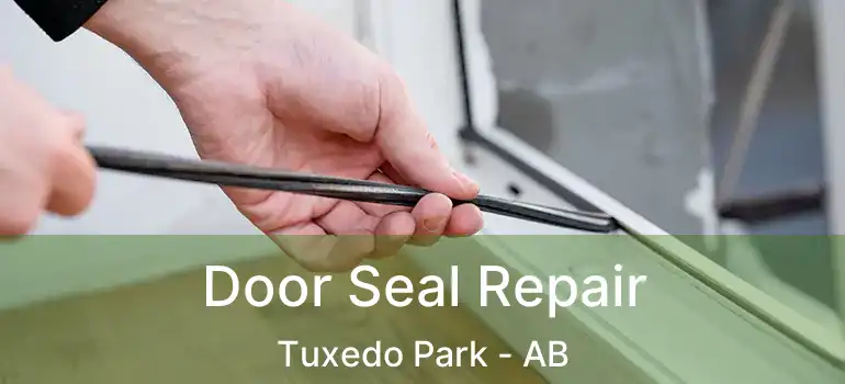  Door Seal Repair Tuxedo Park - AB