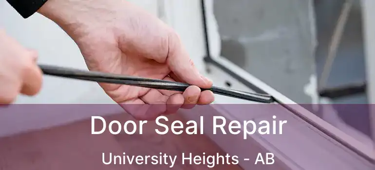  Door Seal Repair University Heights - AB