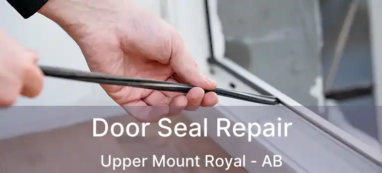  Door Seal Repair Upper Mount Royal - AB